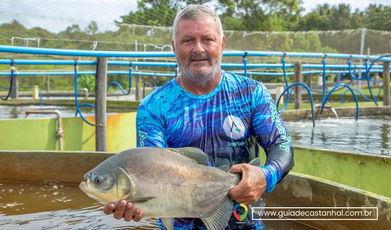 Feira Do Peixe Vivo De A De Abril